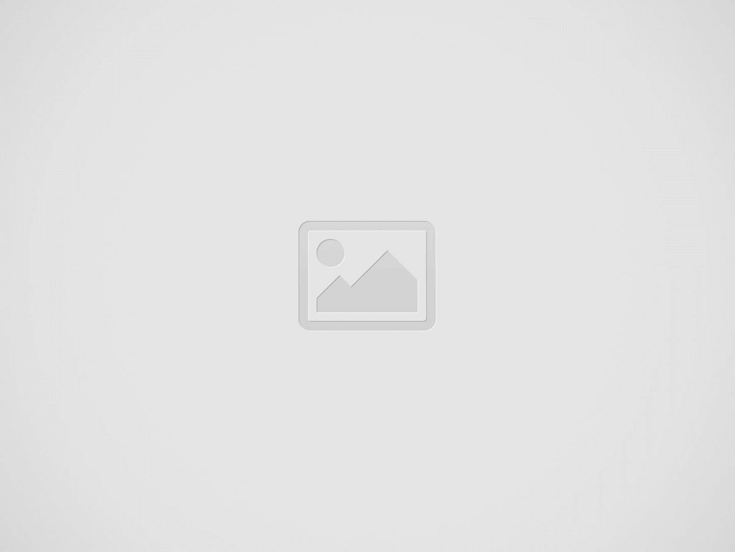 Lorem ipsum dolor sit amet consectetur – Placerat at arcu hendrerit amet facilisi lorem eleifend nunc